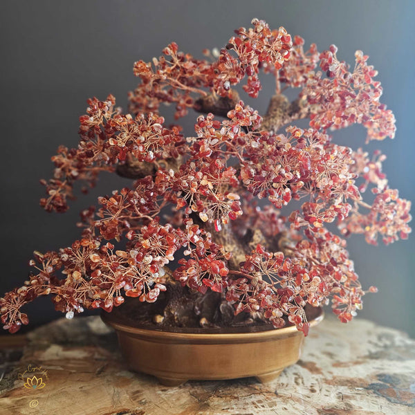 carnelian bonsai tree Carnelian Crystal Bonsai