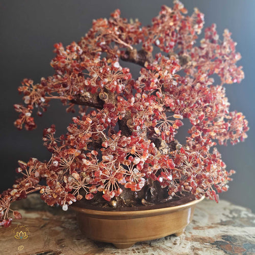 Carnelian Crystal Bonsai | Passion