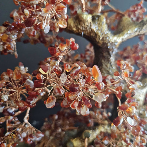 Carnelian Crystal Bonsai | Passion