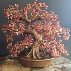 Carnelian Crystal Bonsai | Passion