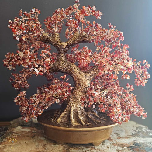 Carnelian Crystal Bonsai | Passion