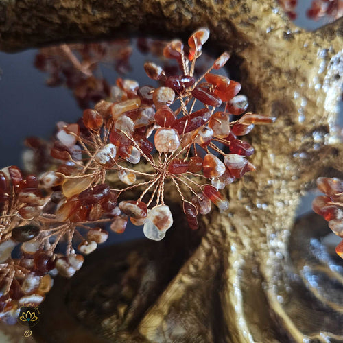 Carnelian Crystal Bonsai | Passion