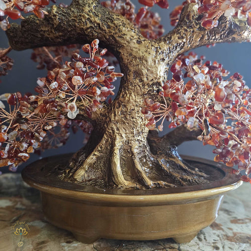 Carnelian Crystal Bonsai | Passion