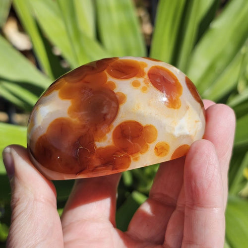 Carnelian Druzy Geode| Aqua Eternal