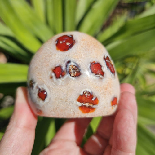 Carnelian Druzy Geode| Ebb And Ember