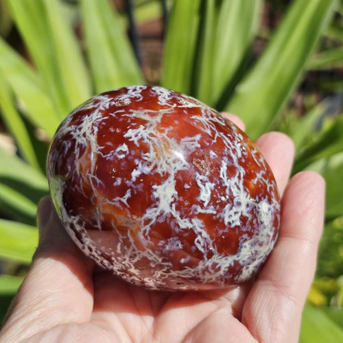 Carnelian Druzy Geode| Liquid To Light
