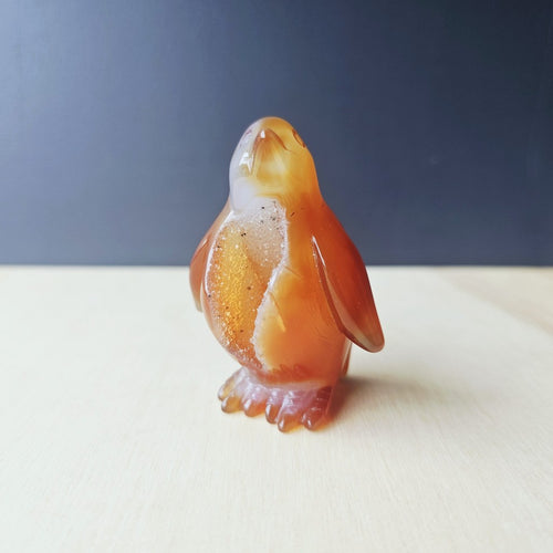Carnelian Druzy Penguin | Ember Pengy 126gm