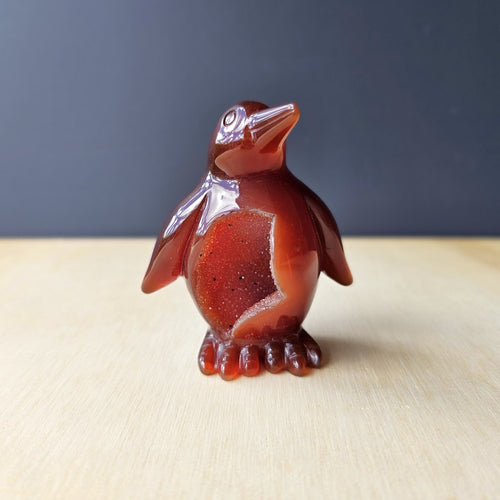 Carnelian Druzy Penguin | Ember Pengys 136gm