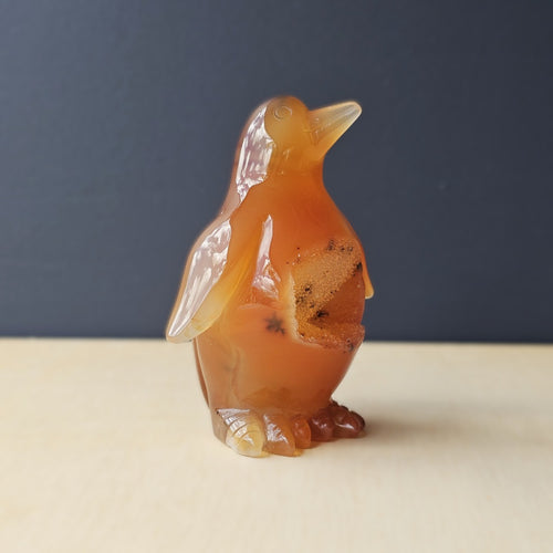 Carnelian Druzy Penguin | Ember Pengys 191gm