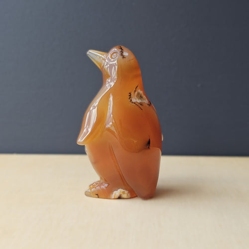Carnelian Druzy Penguin | Ember Pengys 191gm