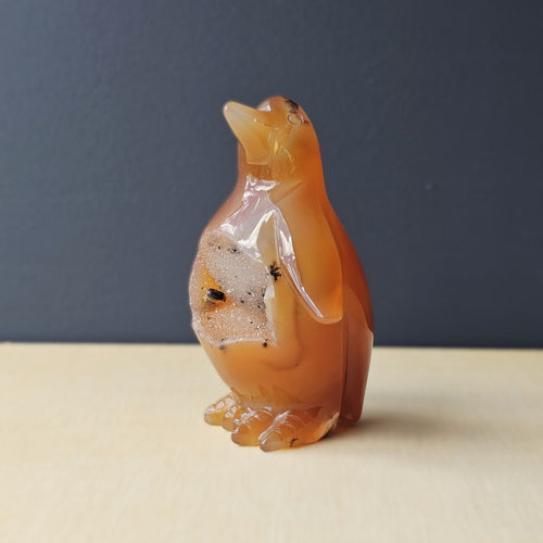 Carnelian Druzy Penguin | Ember Pengys 191gm