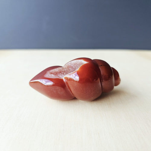 Carnelian Druzy Shell | Carving 113gms