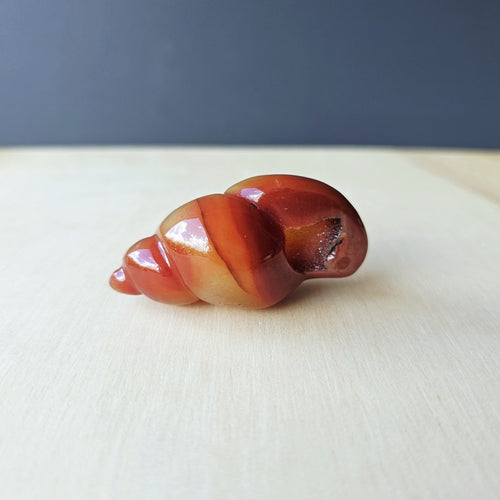 Carnelian Druzy Shell | Carving 67gm
