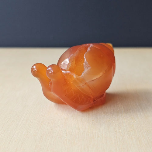 Carnelian Druzy Snail | Carving 74gm