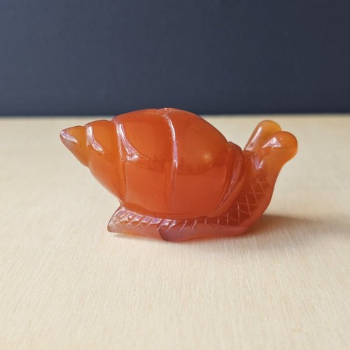 Carnelian Druzy Snail | Carving 74gm