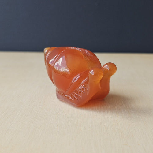Carnelian Druzy Snail | Carving 74gm