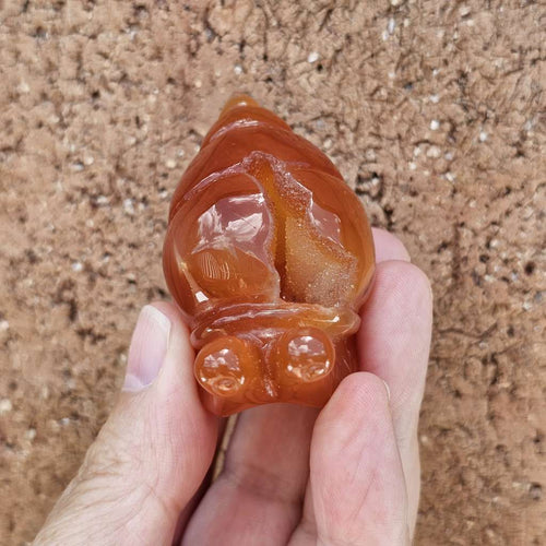 Carnelian Druzy Snail | Carving 74gm