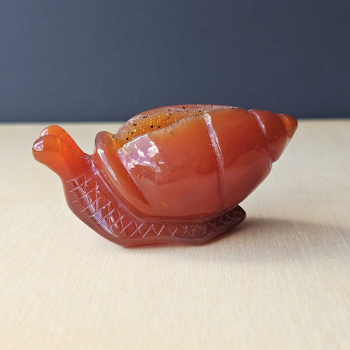 Carnelian Druzy Snail | Carving 85gm