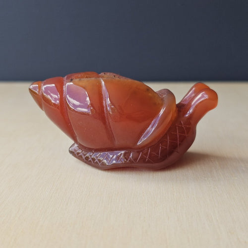 Carnelian Druzy Snail | Carving 85gm