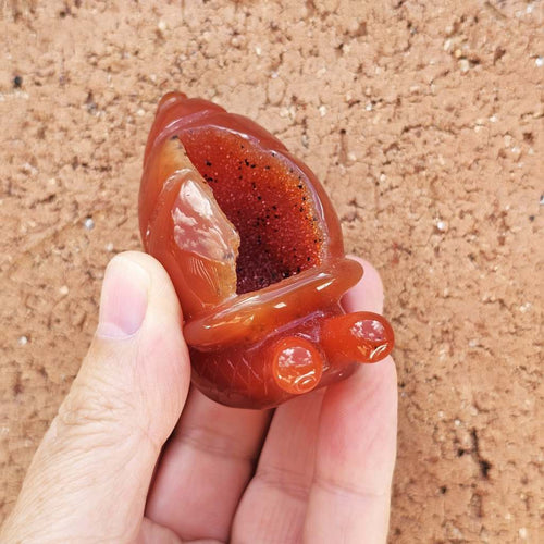 Carnelian Druzy Snail | Carving 85gm