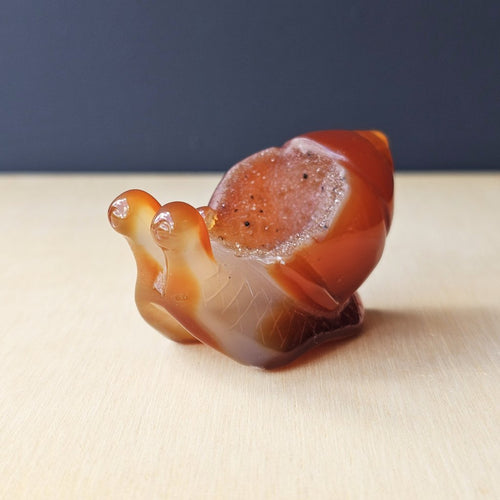 Carnelian Druzy Snail | Carving 92gm