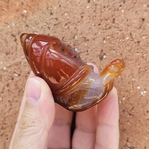 Carnelian Druzy Snail | Carving 92gm