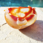Natural Carnelian Carved Bowl 389gms