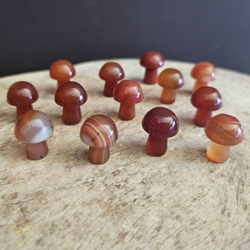 Carnelian Mini Mushrooms