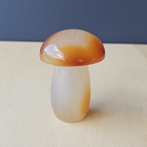 Carnelian Mushroom | Cap-Tivating Carnelian