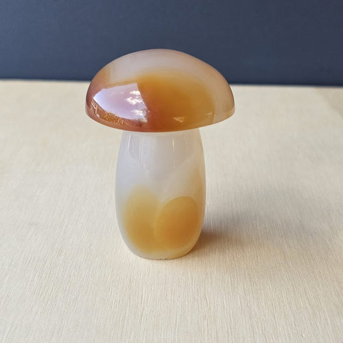 Carnelian Mushroom | Cap-Tivating Carnelian