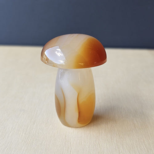 Carnelian Mushroom | Cap-Tivating Carnelian