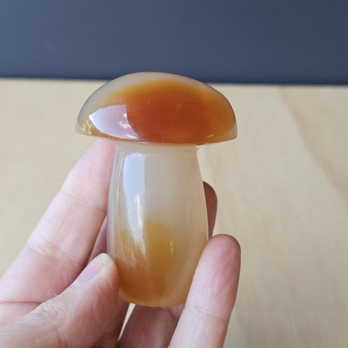 Carnelian Mushroom | Cap-Tivating Carnelian