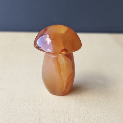 Carnelian Mushroom | Fungi With Fire