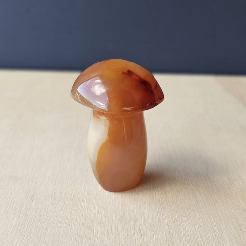 Carnelian Mushroom | Fungi With Fire