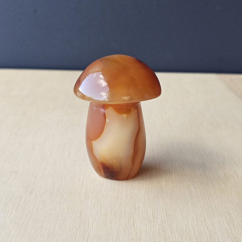 Carnelian Mushroom | Fungi With Fire