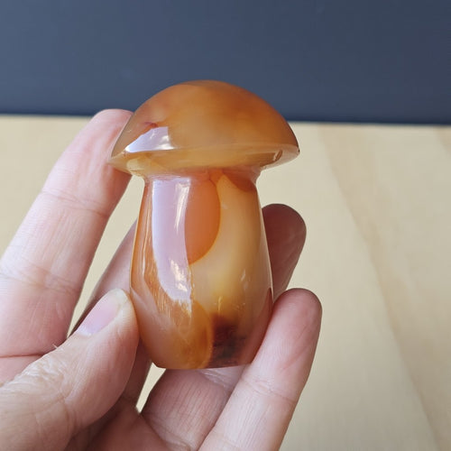 Carnelian Mushroom | Fungi With Fire