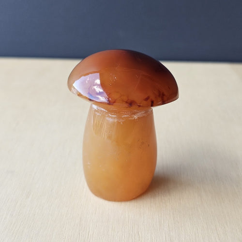 Carnelian Mushroom | Shroom With A View