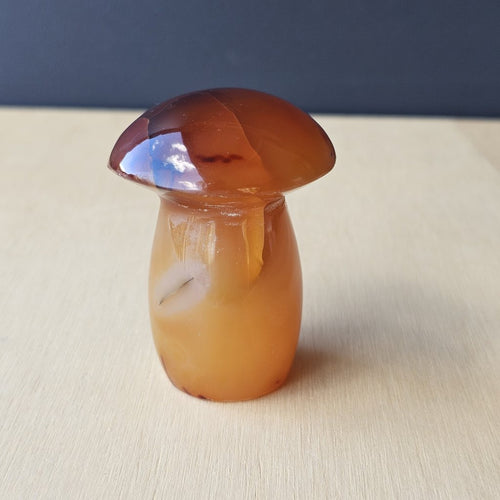 Carnelian Mushroom | Shroom With A View