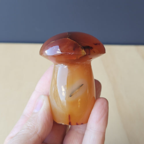 Carnelian Mushroom | Shroom With A View