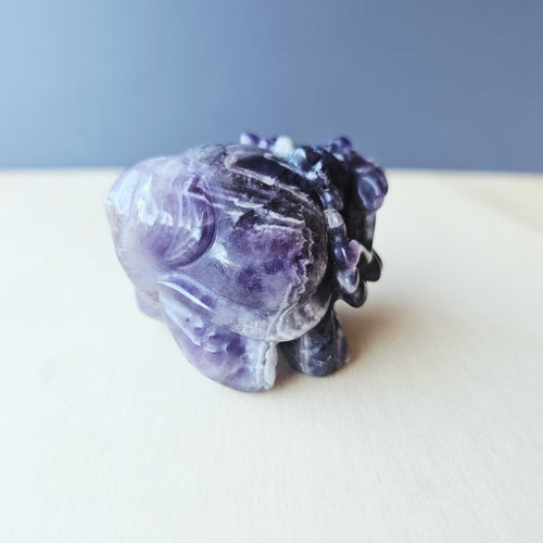 Chevron Amethyst Dragon Turtle | Higher Awareness Guardian