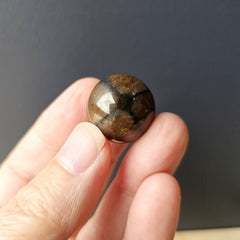 Chiastolite | Mini Spheres