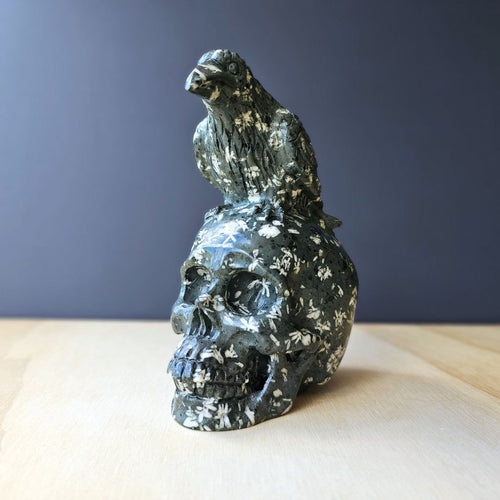 Chinese Writing Stone Raven Skull | Feathered Guardian