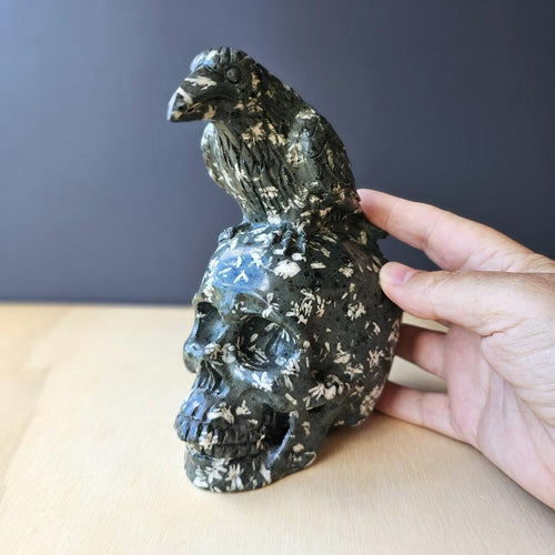 Chinese Writing Stone Raven Skull | Feathered Guardian