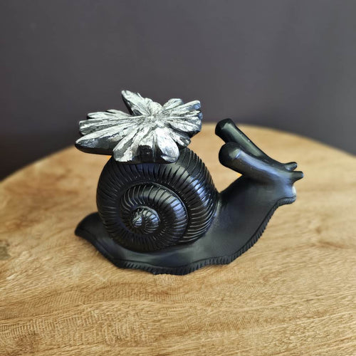 Chrysanthemum Stone | Snail 1.073kg