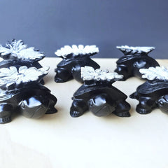 Chrysanthemum Stone | Turtles