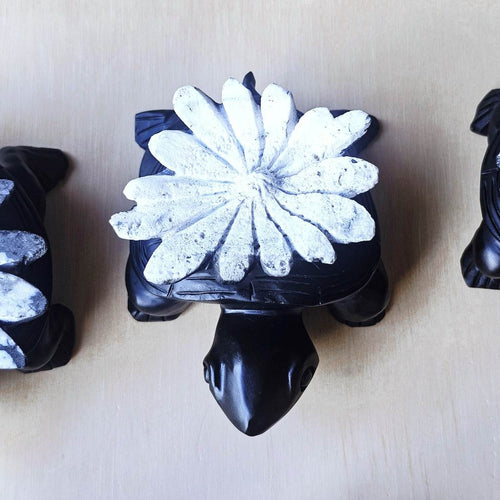 Chrysanthemum Stone | Turtles