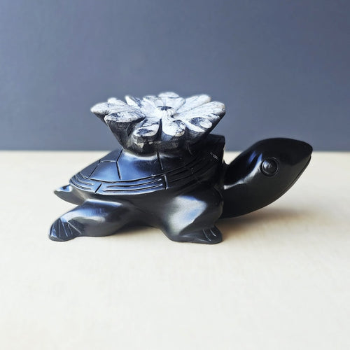 Chrysanthemum Stone | Turtles