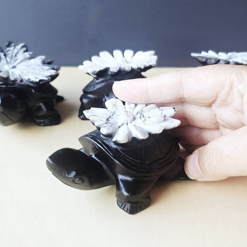 Chrysanthemum Stone | Turtles