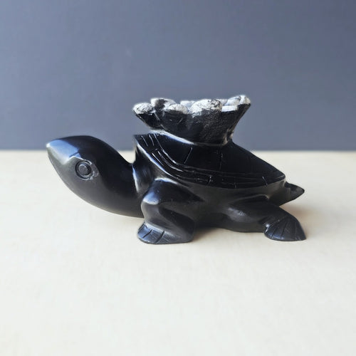 Chrysanthemum Stone | Turtles