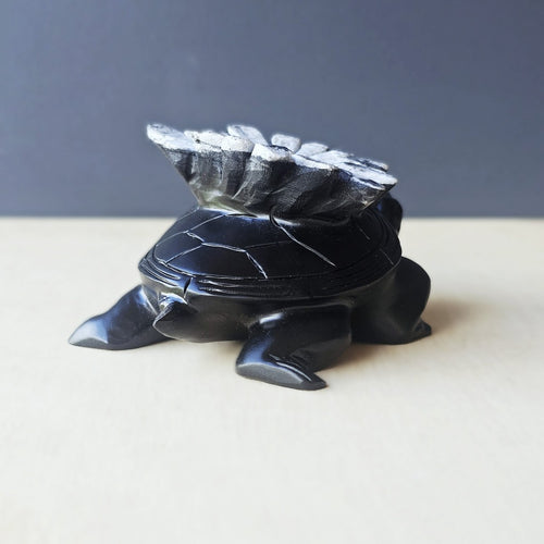 Chrysanthemum Stone | Turtles